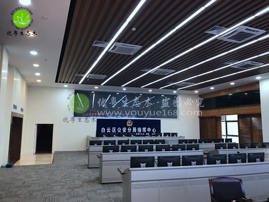 ���B(t��i)ľ�컨