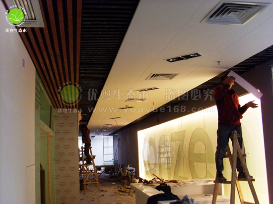 �V�|���B(t��i)ľ�컨