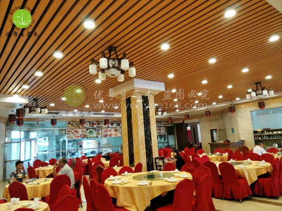 �Ļ����B(t��i)ľ�컨