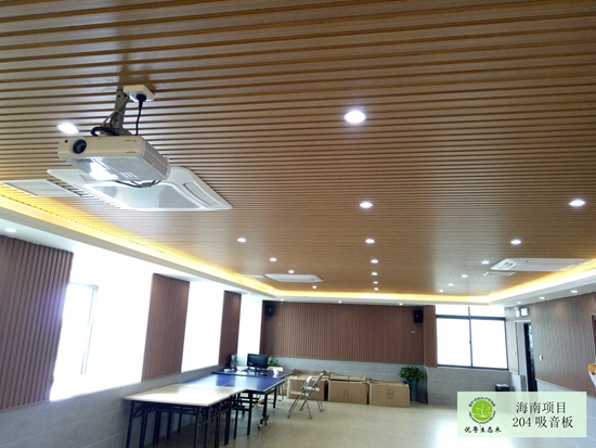 �V�����B(t��i)ľ������