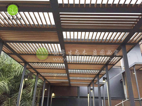 �S�����B(t��i)ľ��ľ