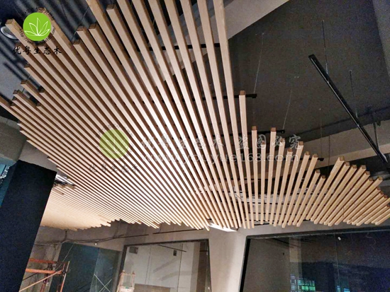 �V�|���B(t��i)ľ��ľ