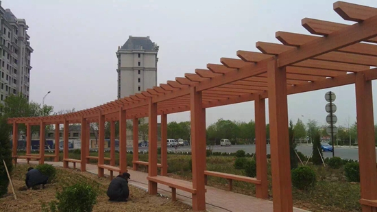 �V�|��ľ�ȼ�