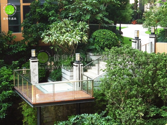 �컨���̌���