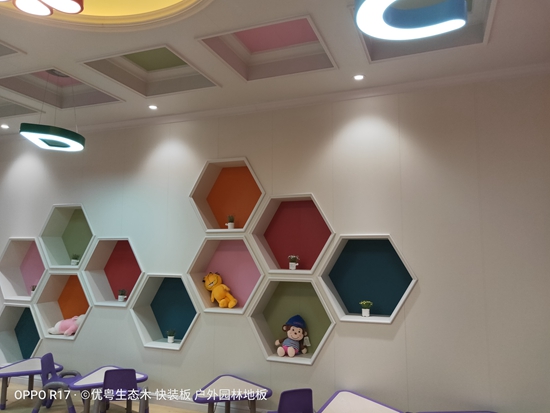 ��ľ�w�S���ɹ�����������