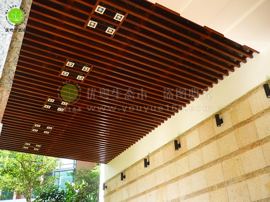 ���B(t��i)ľ�컨