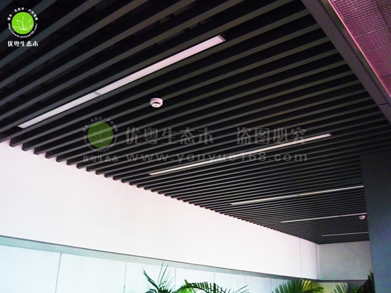 ���B(t��i)ľ�컨