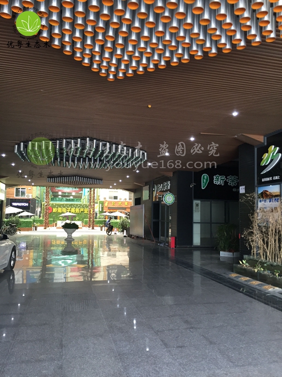 ���B(t��i)ľ�컨